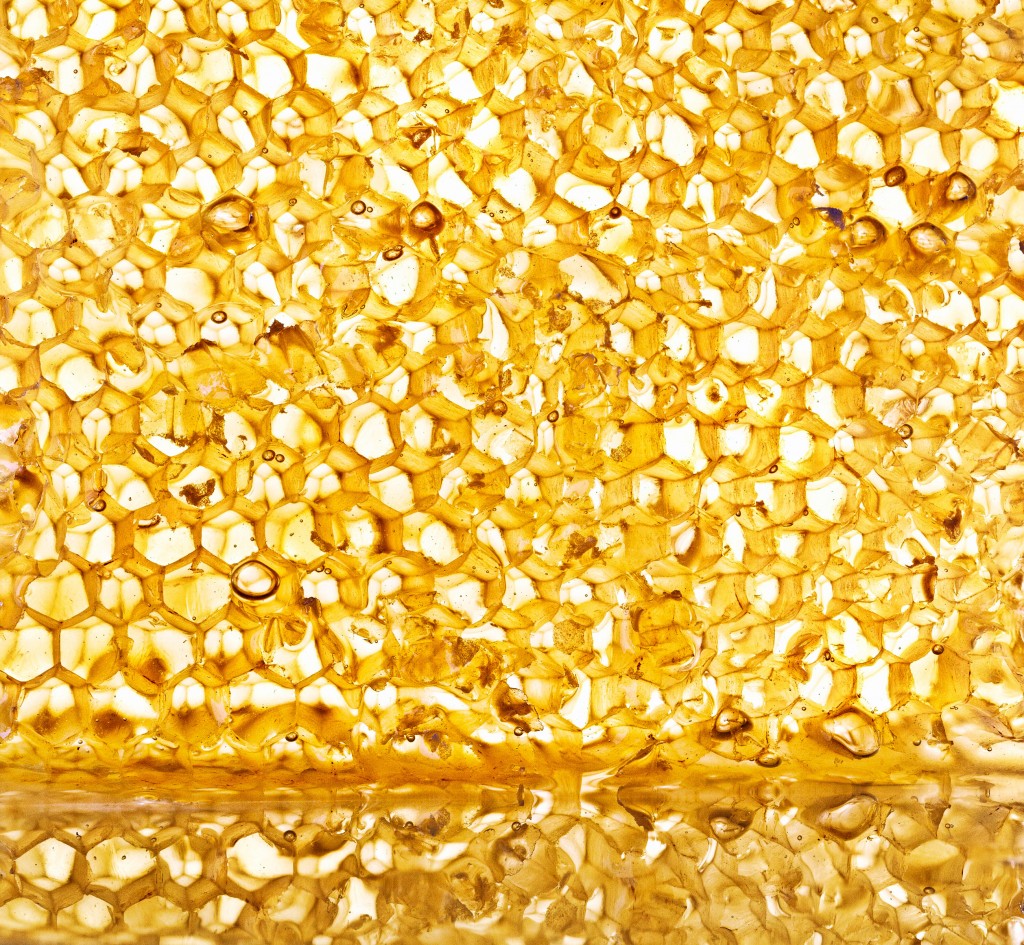 Honeycomb fine art food photography