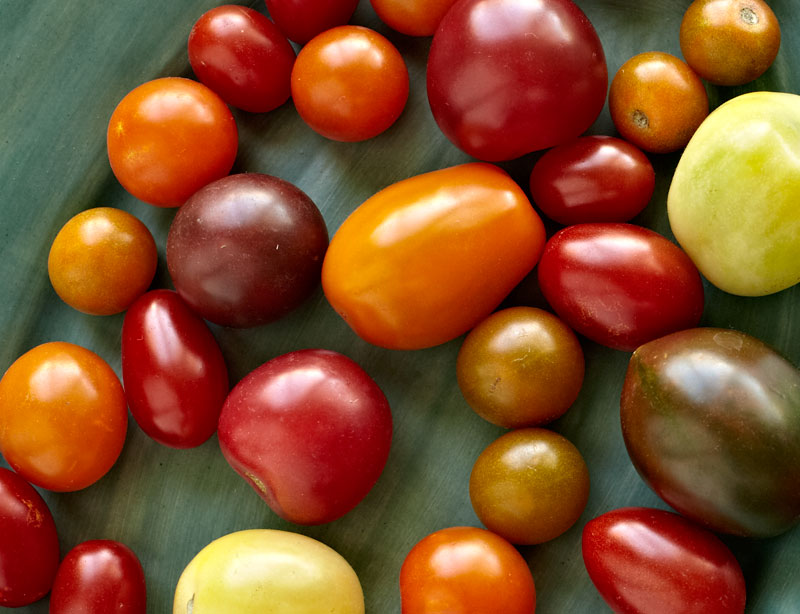cherry tomatoes, heirloom, food photographer, food photography, crystal cartier