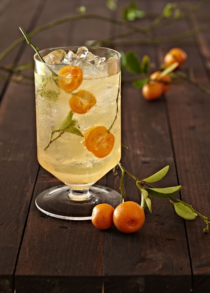 tangerine drink by food photographer Crystal Cartier